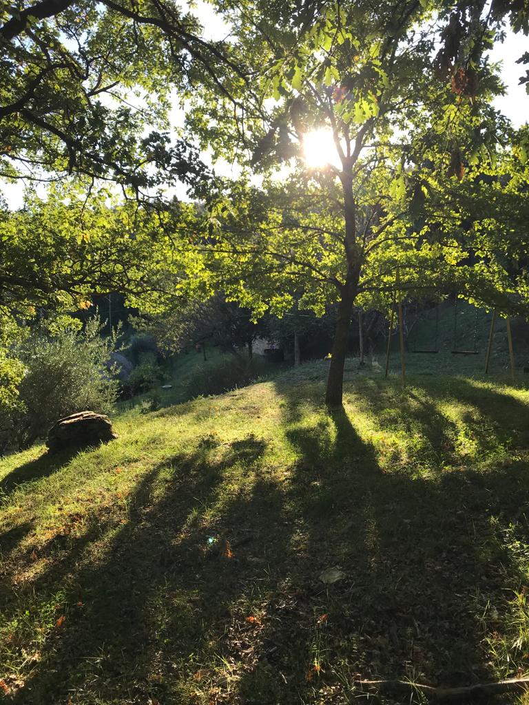 Altalena del Podere Giulianelli