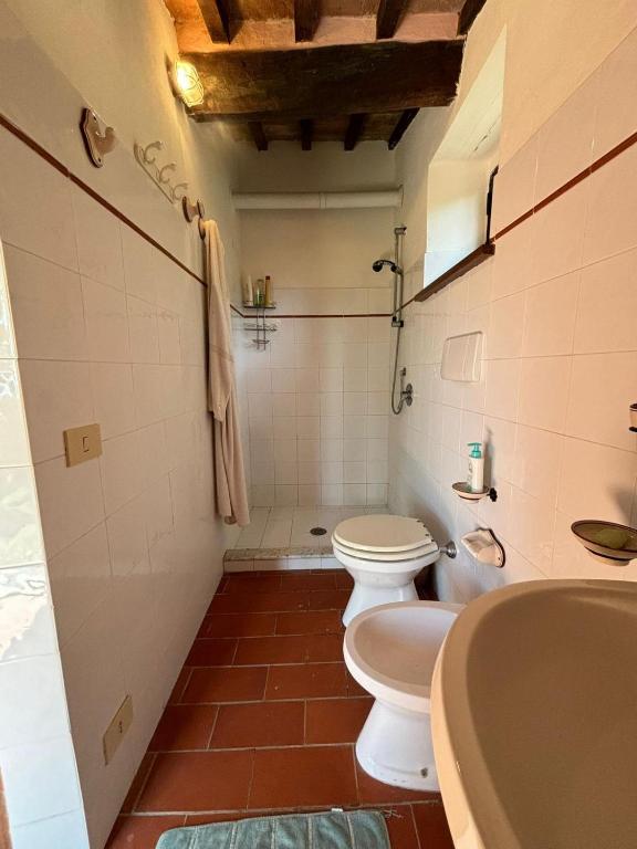 Monolocale bagno immagine2